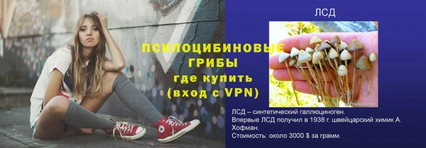 дживик Нягань