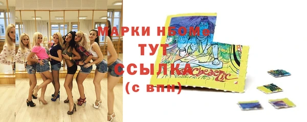 прущие грибы Абаза