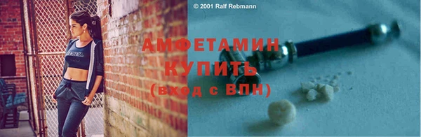 прущие грибы Абаза