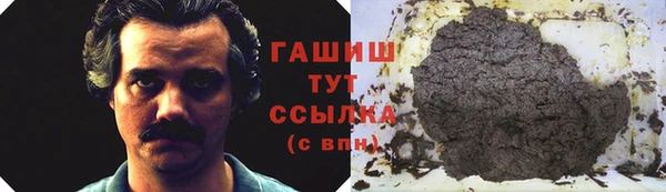 прущие грибы Абаза