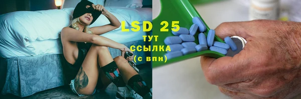 прущие грибы Абаза
