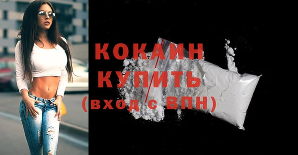прущие грибы Абаза