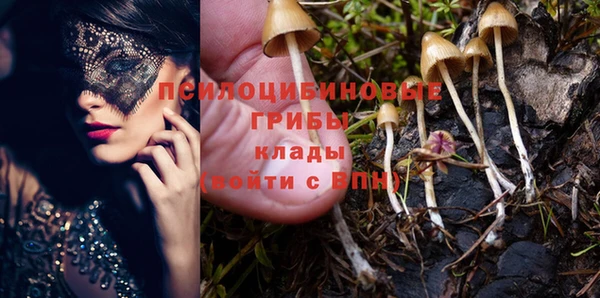 дживик Нягань