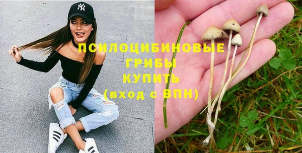 МДПВ Няндома