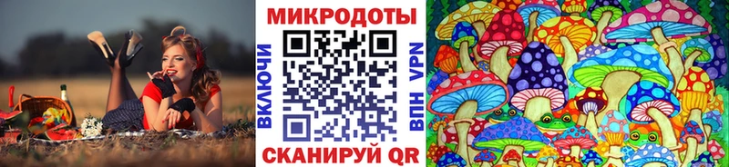 darknet состав kraken Белая Калитва Псилоцибиновые грибы Magic Shrooms