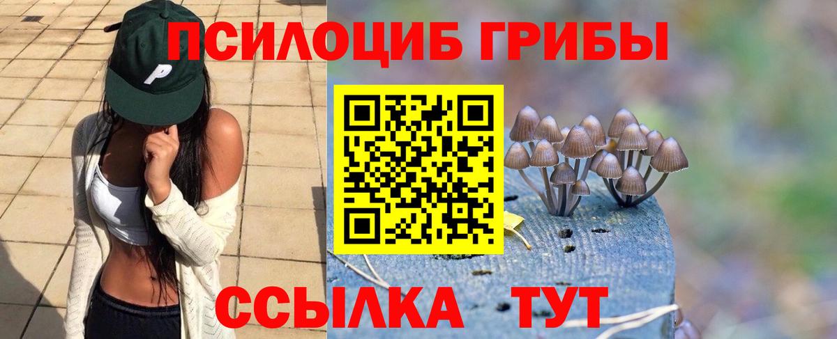 продажа наркотиков  Псилоцибиновые грибы Psilocybine cubensis  Вход с VPN  Белая Калитва 
